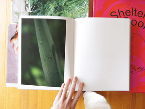 Rinko Kawauchi – On Birds (Des oiseaux)