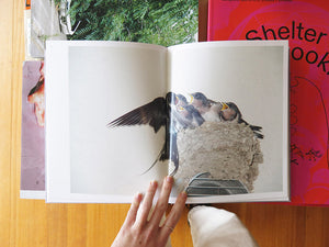 Rinko Kawauchi – On Birds (Des oiseaux)