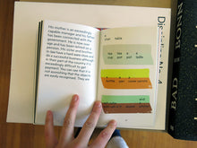Load image into Gallery viewer, Uta Eisenreich &amp; James Langdon - A Play