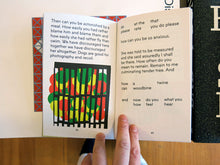 Load image into Gallery viewer, Uta Eisenreich &amp; James Langdon - A Play