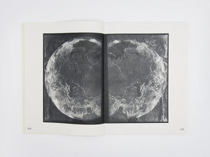 Izabela Pluta – Figures of slippage and oscillation