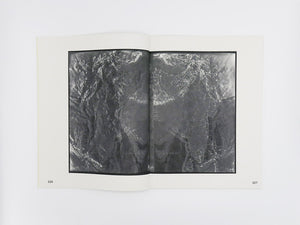Izabela Pluta – Figures of slippage and oscillation