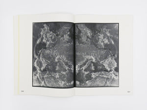 Izabela Pluta – Figures of slippage and oscillation