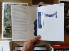 Load image into Gallery viewer, anser w/Julian Hocking