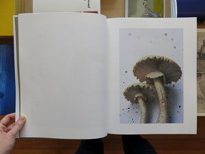 Takashi Homma – Symphony: mushrooms from the forest