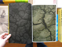 Load image into Gallery viewer, Peter Dekens – Shaky Ground