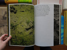 Load image into Gallery viewer, Peter Dekens – Shaky Ground