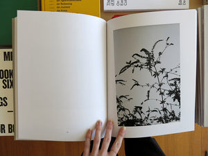 Brian Kanagaki – Golden Persimmons II