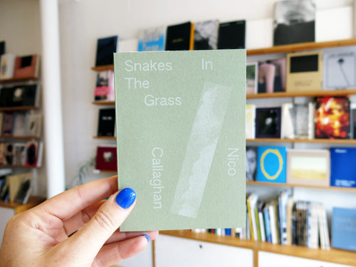 Nico Callaghan - Snakes In The Grass