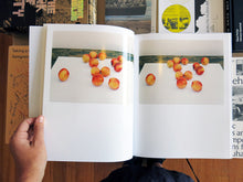 Load image into Gallery viewer, Stefano Graziani - Fruits And Fireworks