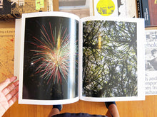 Load image into Gallery viewer, Stefano Graziani - Fruits And Fireworks