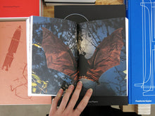 Load image into Gallery viewer, Jaap Scheeren – Flipping the Bird