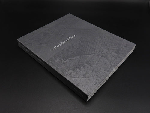 David Campany – a Handful of Dust (Signed, Rare First Edition)