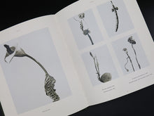 Load image into Gallery viewer, Joan Fontcuberta – The Photography of Nature &amp; The Nature of Photography (Rare)