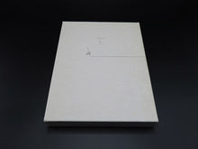 Load image into Gallery viewer, Saul Steinberg - 4 Leporellos: The Line / Types of Architecture / Shores of the Mediterranean / Cities of Italy (Rare)