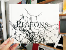 Load image into Gallery viewer, Stephen Gill - Pigeons