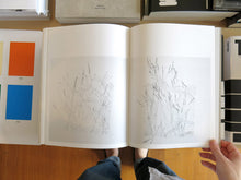 Load image into Gallery viewer, Irene Kopelman – Cardinal Points