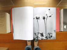 Load image into Gallery viewer, Bill 2