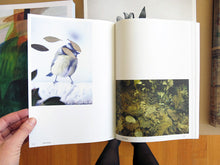 Load image into Gallery viewer, Anne Geene &amp; Arjan De Nooy - Ornithology