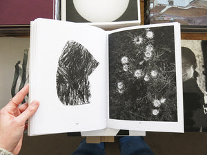 Géraldine Jeanjean – Rock-paper-roots