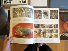 Load image into Gallery viewer, Lizan Freijsen – The Living Surface: An Alternative Biology Book on Stains