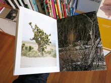 Load image into Gallery viewer, Jan Kempenaers - I&#39;m Not Tailgating, I&#39;m Drafting