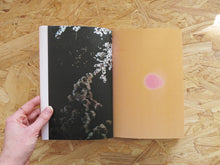 Load image into Gallery viewer, Josée Pedneault – Contre-jour