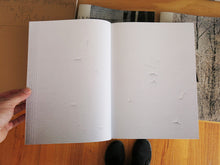 Load image into Gallery viewer, David Küenzi - Zustandsaufnahme