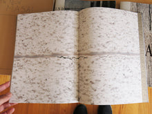 Load image into Gallery viewer, David Küenzi - Zustandsaufnahme