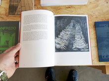 Load image into Gallery viewer, Penelope Curtis – The Pliable Plane: The Wall as Surface in Sculpture and Architecture, 1945–75