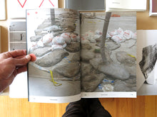 Load image into Gallery viewer, Sculpture Projects Münster 2017