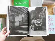 Load image into Gallery viewer, Marjolein Blom – Failing Forward