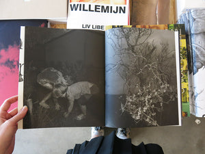 Wouter Van de Voorde – Death is not here