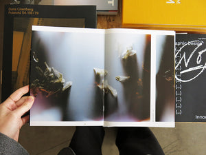 Anne Noble – Conversātiō: In the Company of Bees
