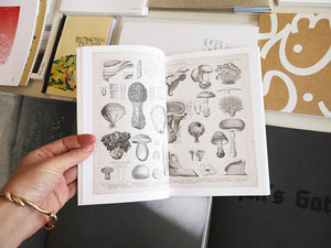 Annie Ratti - The Mushroom Project