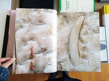 Load image into Gallery viewer, Daniel Dewar &amp; Gréfory Gicquel - Rosa Aurora
