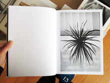 Load image into Gallery viewer, Saskia Groneberg - Buropflanze (Office Plant)