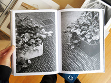 Load image into Gallery viewer, Saskia Groneberg - Buropflanze (Office Plant)