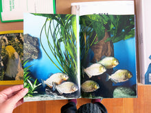 Load image into Gallery viewer, Tania Willen, David Willen &amp; Jörg Scheller - Appetite for the Magnificent