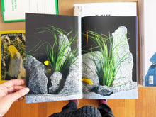 Load image into Gallery viewer, Tania Willen, David Willen &amp; Jörg Scheller - Appetite for the Magnificent