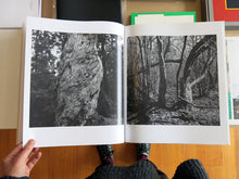 Load image into Gallery viewer, Gunmar Smoliansky - Träd