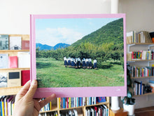 Load image into Gallery viewer, Osamu Yokonami - Sasayama