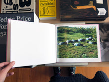 Load image into Gallery viewer, Osamu Yokonami - Sasayama