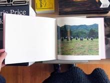 Load image into Gallery viewer, Osamu Yokonami - Sasayama