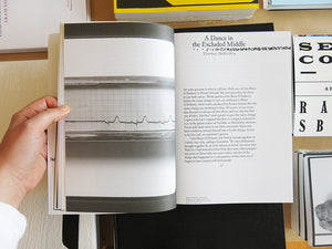 Brian O'Doherty / Patrick Ireland: Word, image and institutional critique