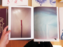 Load image into Gallery viewer, Michael James Fox - Plastics