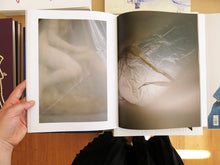 Load image into Gallery viewer, Michael James Fox - Plastics