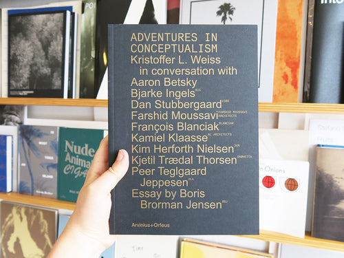 Adventures In Conceptualism