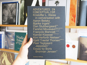 Adventures In Conceptualism