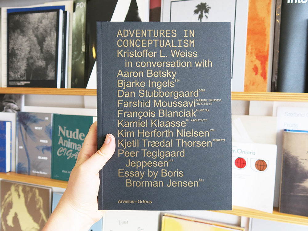 Adventures In Conceptualism